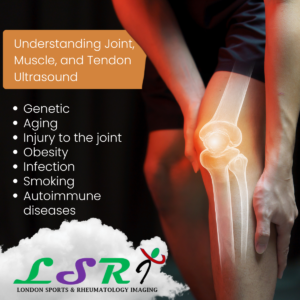 Understanding Joint, Muscle, and Tendon Ultrasound