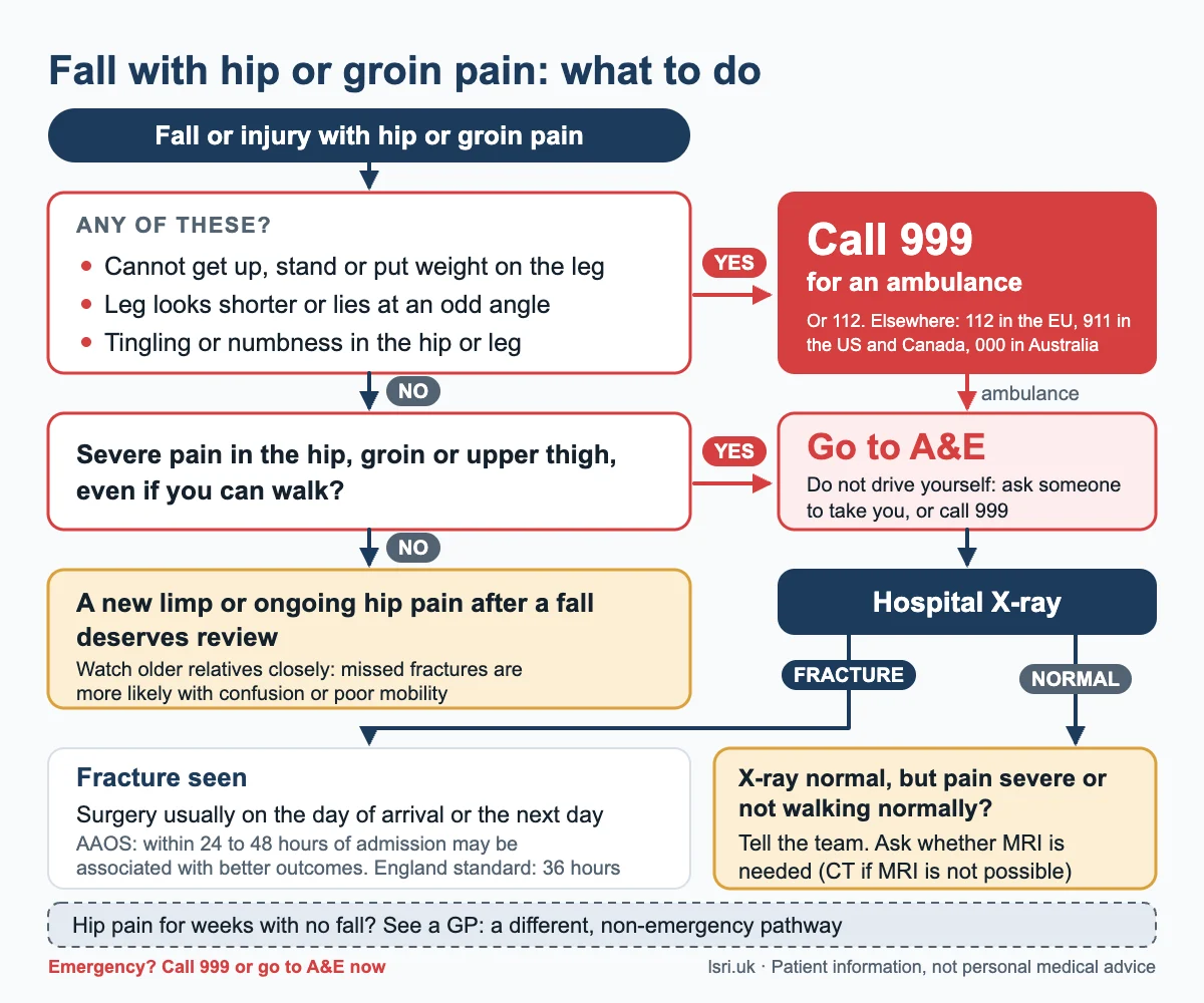 Flow chart for a fall with hip or groin pain: when to call 999, when to go to A&E, when to get a new limp reviewed, and what happens if the hospital X-ray is normal